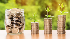 Como Transformar Conhecimento em Investimento Digital