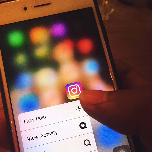 Instagram Internet: Como Usar e Tirar Proveito no Seu Negócio Digital