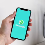 Whatsapp como ferramenta estratégica na Pradonn