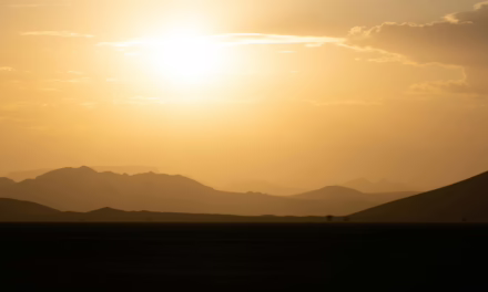 Calor: Como Lucrar com o Clima e as Tendências Digitais